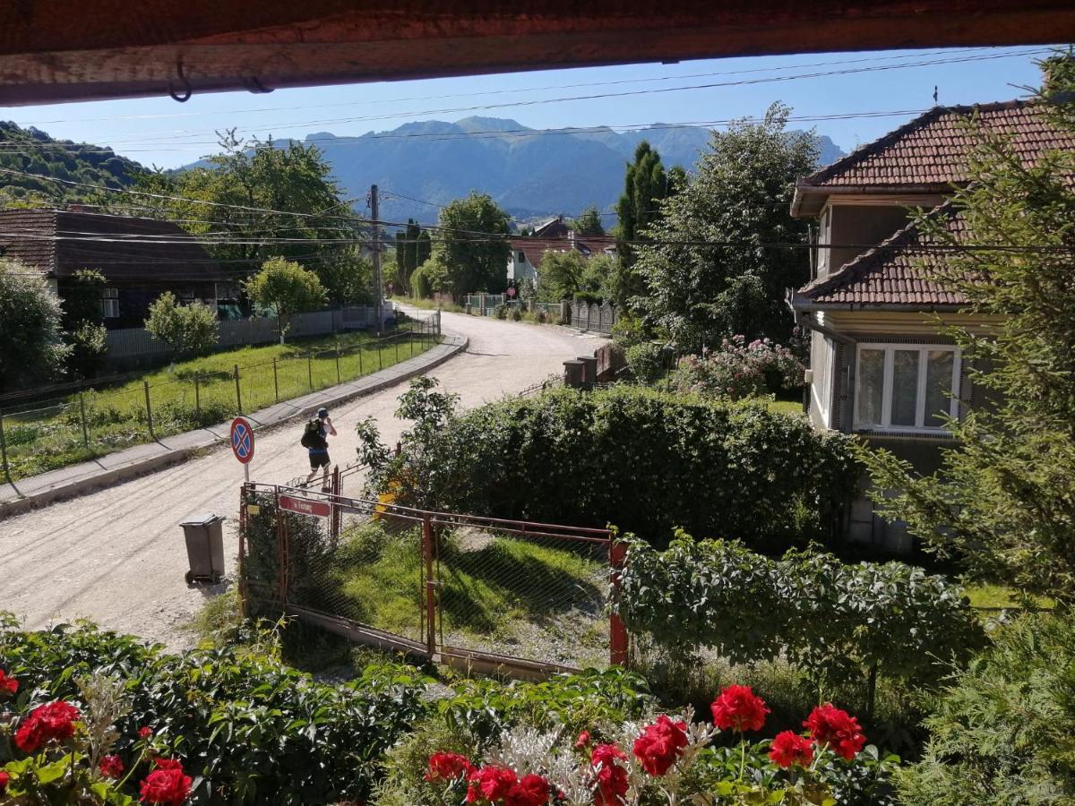 Vila Ovi Hotel Бран Екстериор снимка